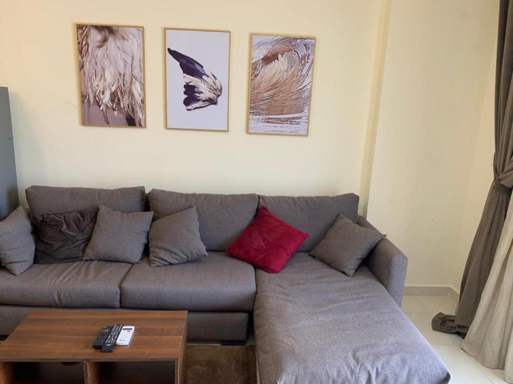 uma sala de estar com um sofá cinzento e pinturas na parede em Quiet and comfortable place in Madinaty new cairo em Madinaty