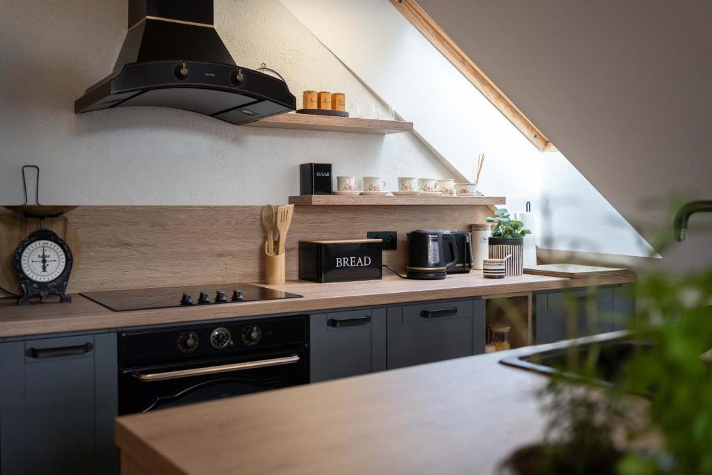 Kuchyň nebo kuchyňský kout v ubytování ČÁKYHO KÚRIA - apartmán pre 4 osoby s krbom a saunami