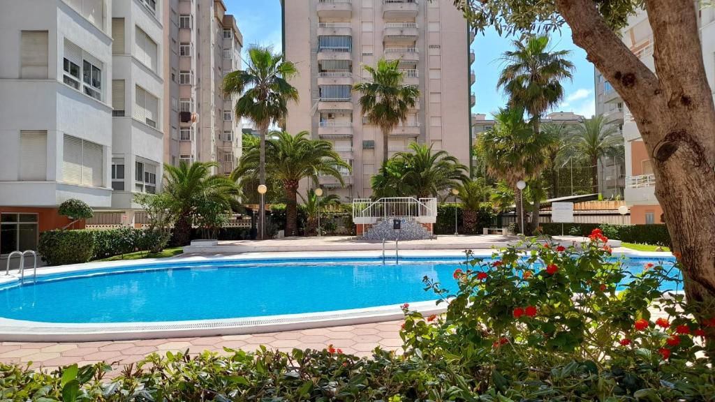 einen Pool mit Palmen und Gebäuden in der Unterkunft Caballito de mar, parking, AC y fibra VT-52619-V in Gandía