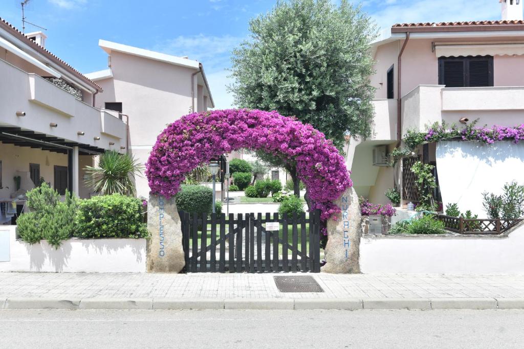 un ingresso a un edificio con fiori viola su un cancello di I Nuraghi a Cannigione