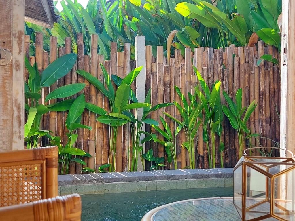 Spaces Bali Unique Boutique Hotel - 7