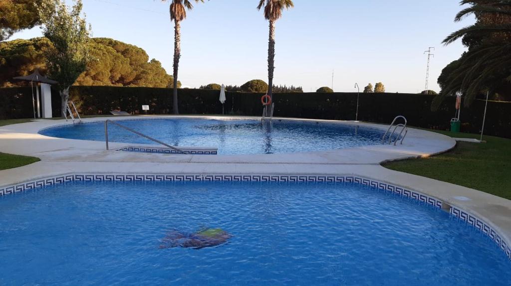 una gran piscina en un patio con palmeras en Casa Alma, en Campano
