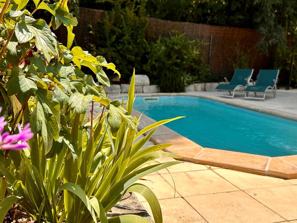 - une piscine avec deux chaises bleues dans la cour dans l'établissement Maison Lavandula, à Saint-Rémy-de-Provence