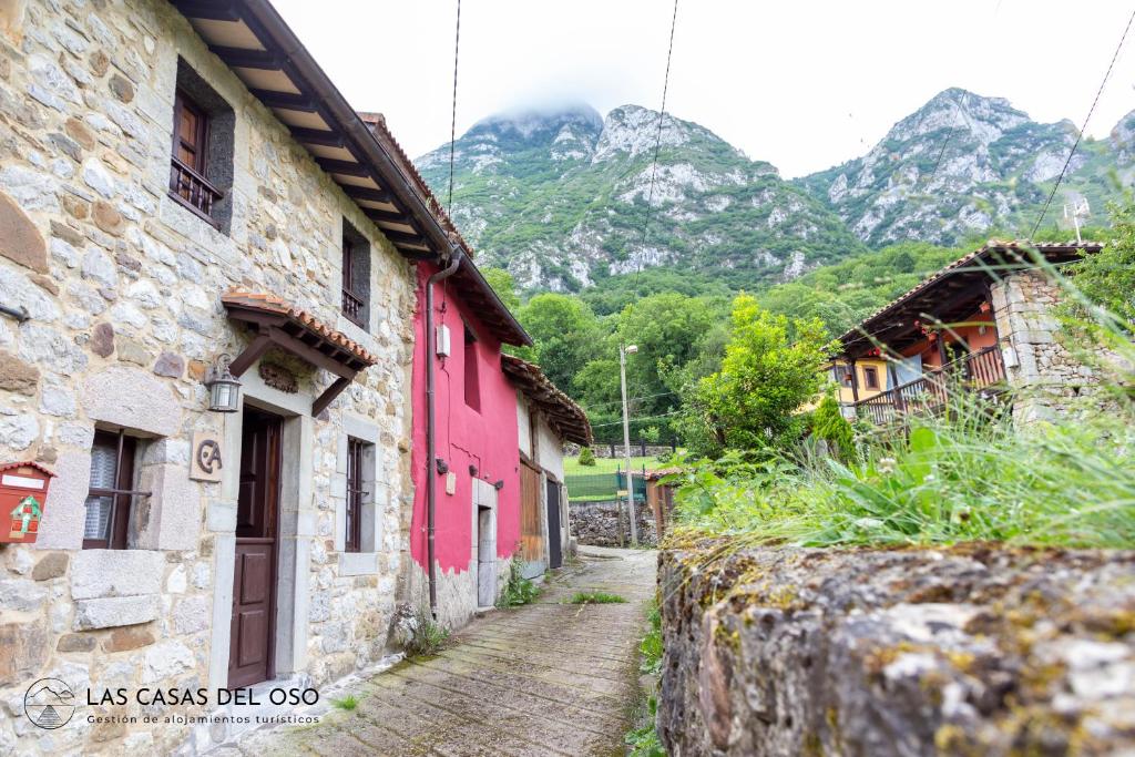 uma rua de calçada numa aldeia com montanhas ao fundo em La Seronda de Villaorille - Las Casas del Oso 