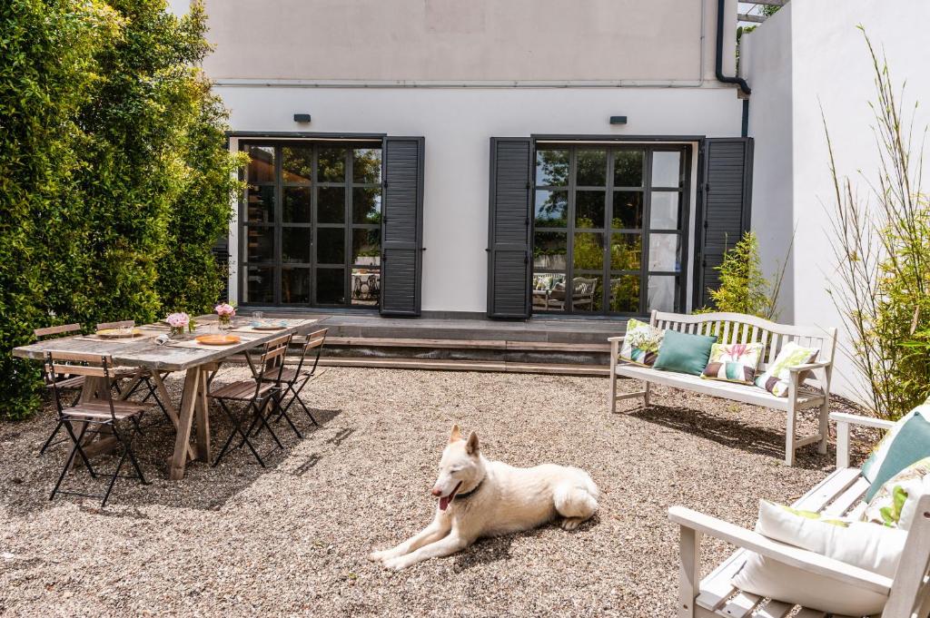 Il Minicucco Apartments by Wonderful Italy - Appartamento Con Vista Da Giardino