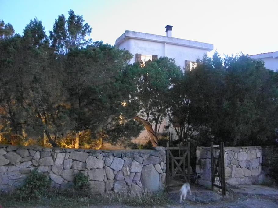 Casa sulla Baia a Carloforte - Affascinante Villa Fronte Mare