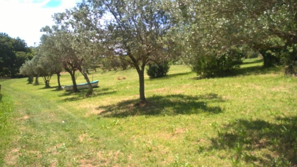 Zahrada ubytování Borgo Rosso Country House B&B