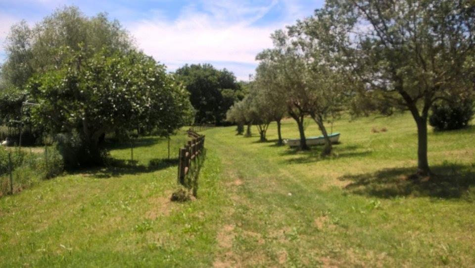 Zahrada ubytování Borgo Rosso Country House B&B