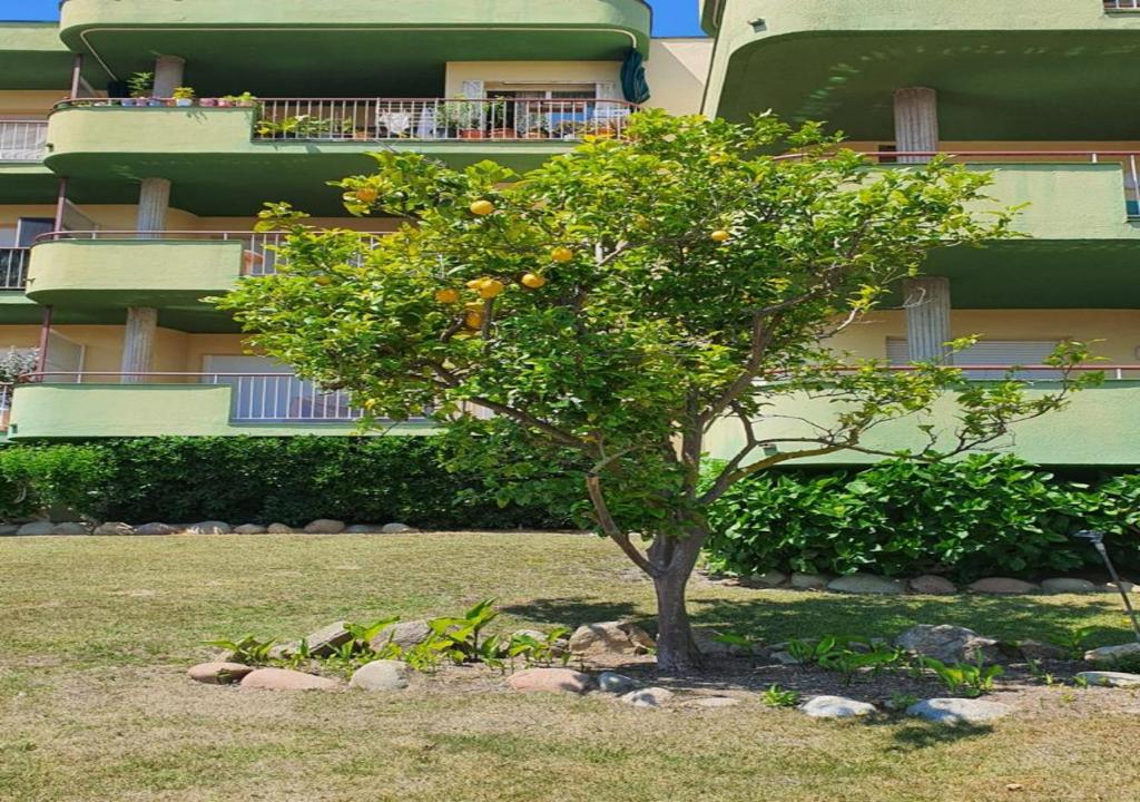 Zahrada ubytování Apartamento Vacacional en Platja D'Aro