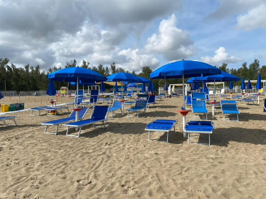 Maronda Camping في مارينا دي مونتينيرو: مجموعة من الكراسي الزرقاء والمظلات على الشاطئ
