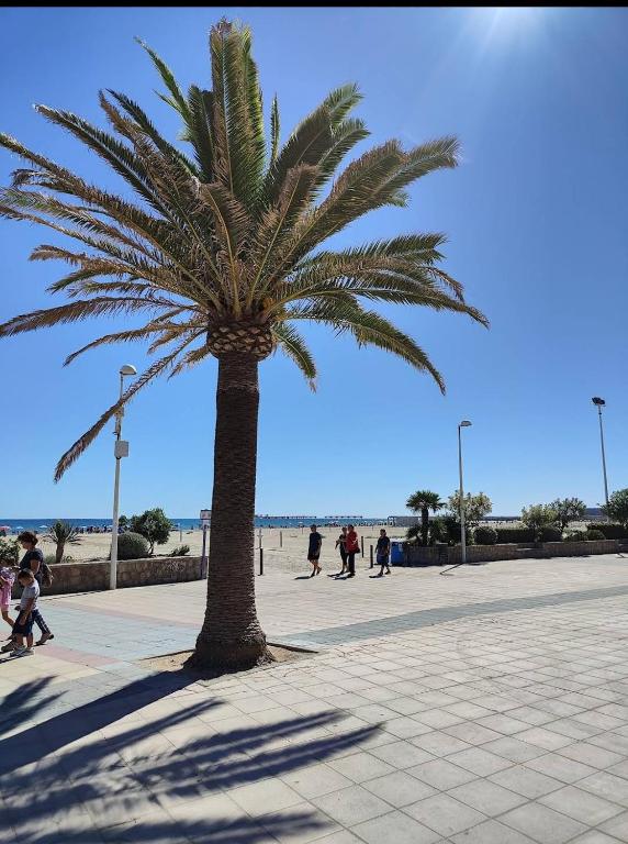 Cómoda Habitación privada con baño exclusivo, Canet den ...