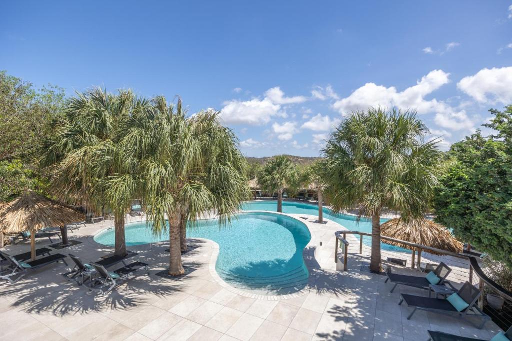 een uitzicht over een zwembad met palmbomen bij Morena Resort in Willemstad