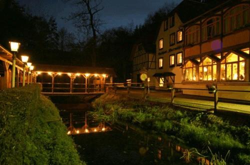 Zahrada ubytování Waldhotel Pfarrmühle