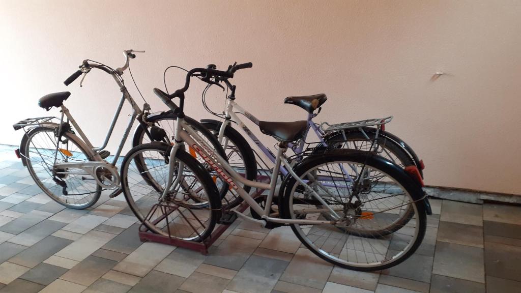 Jízda na kole v ubytování Berta Apartman nebo okolí