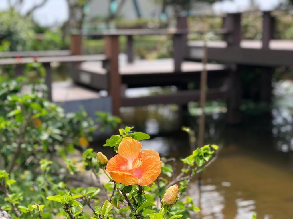 a orange flower in front of a bridge at Kenting Summerland Garden Resort in Eluan