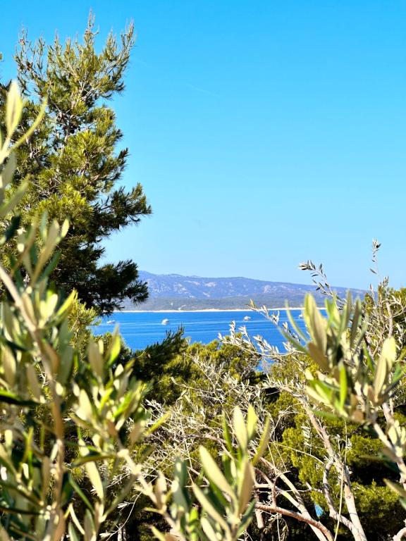 una vista del océano desde detrás de algunas plantas en Villa Sun Garden, en Bol