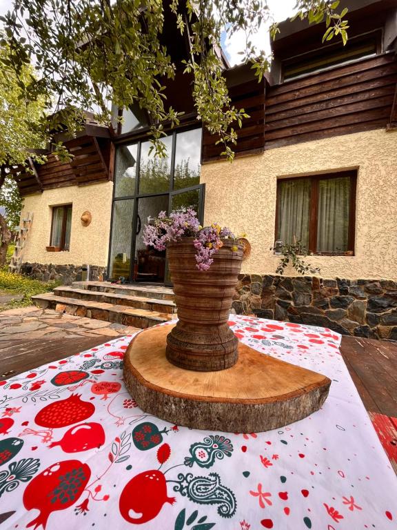 Zahrada ubytování Ioska's House