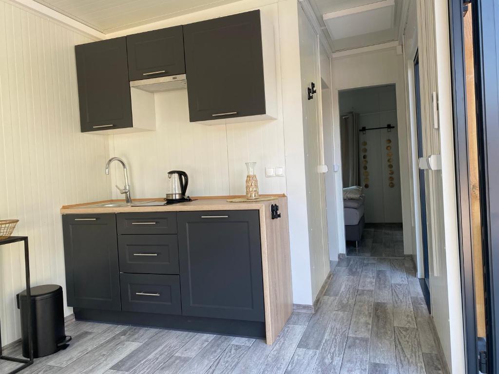 Kuchyň nebo kuchyňský kout v ubytování Tiny House QiriH