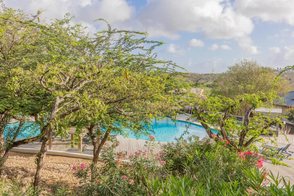 Bazén v ubytování Morena Resort nebo v jeho okolí