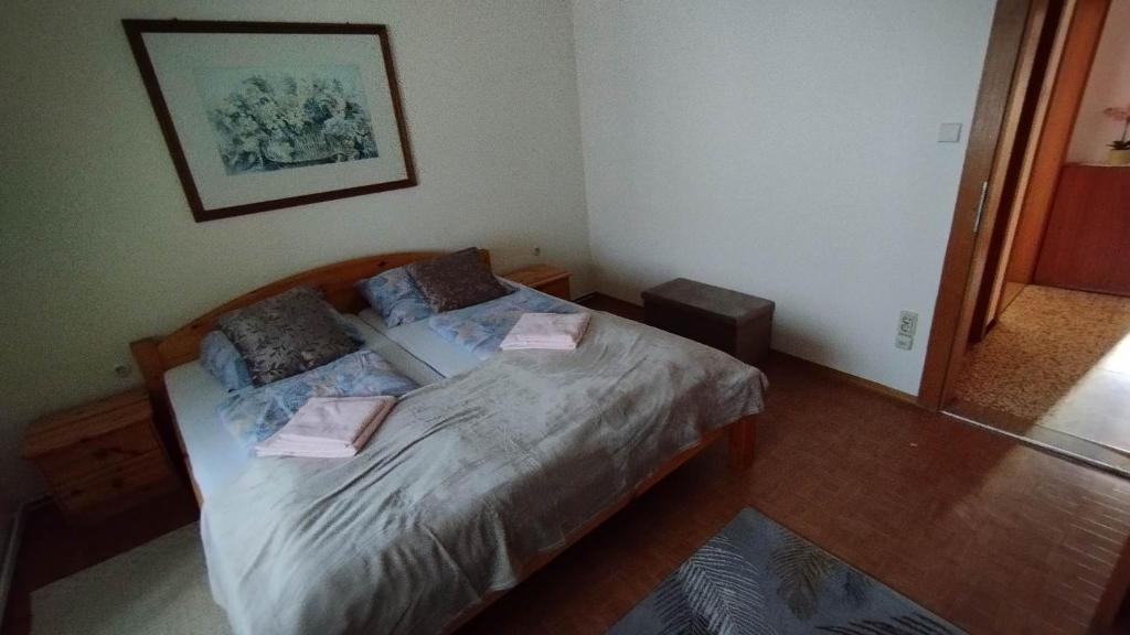 Postel nebo postele na pokoji v ubytování Steinadler apartman Dog-friendly, quiet, garden house with private parking and beautiful views - Kertes apartman egy szoba áráért