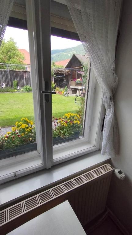 Zahrada ubytování Steinadler apartman Dog-friendly, quiet, garden house with private parking and beautiful views - Kertes apartman egy szoba áráért