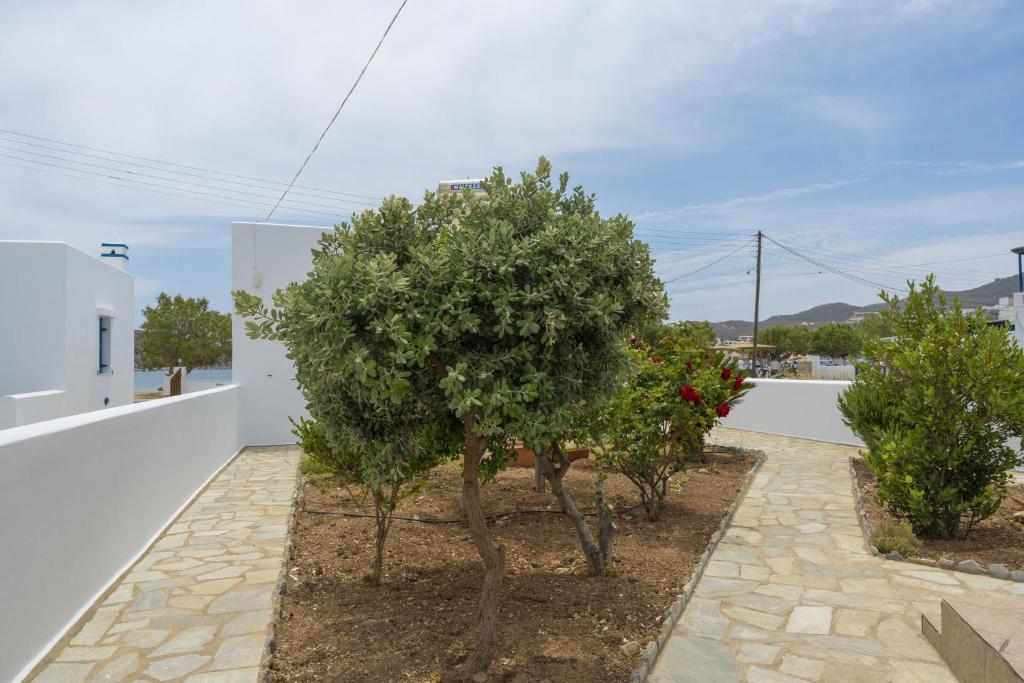 Fotografie z fotogalerie ubytování Studios Ninemia Serifos 3 v destinaci Livadion