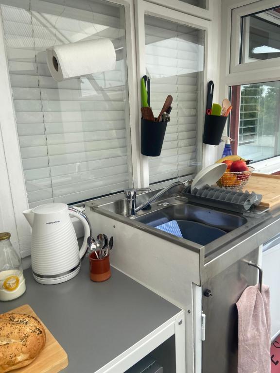 a kitchen counter with a sink and a window at Barrow Harbour studio apartment in Tralee