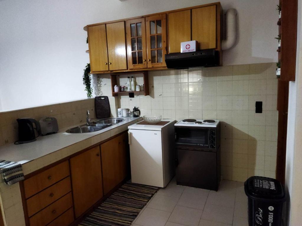 a small kitchen with a sink and a dishwasher at The house of ZORBAS in Agios Vlasios