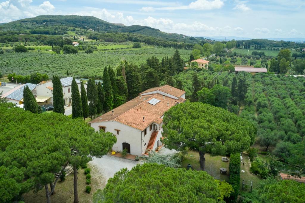 una vista aérea de una casa en los árboles en Antichi Palmenti - Corbezzolo en San Vincenzo