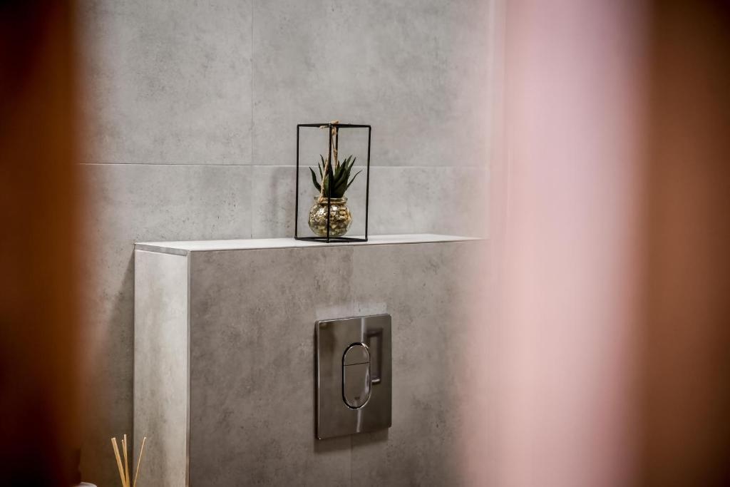 Cicha Woda 300 m od Gorący Potok i Termy Szaflary - 11