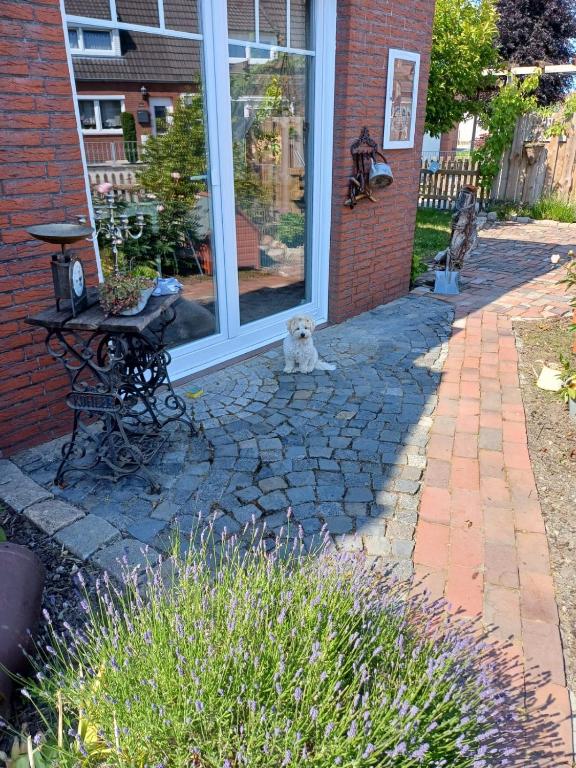 Zahrada ubytování Lotta's Ferienhäuschen