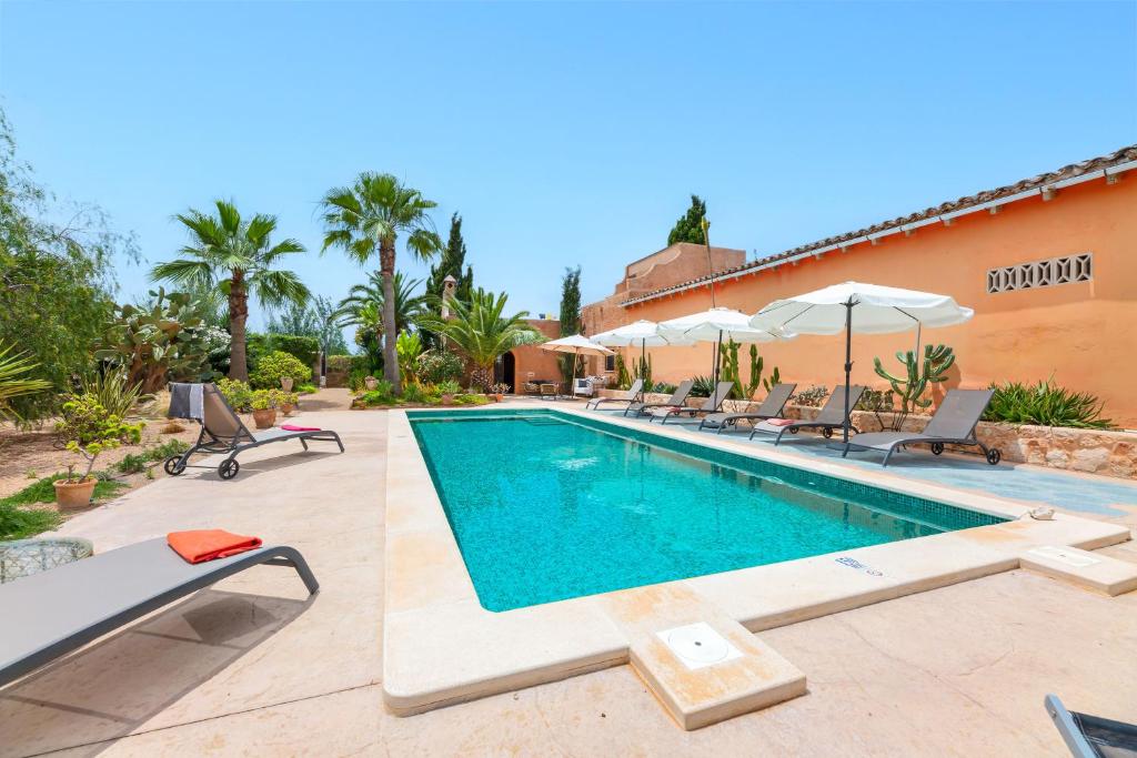 The swimming pool at or close to El Palomar