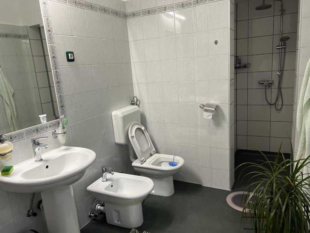 Koupelna v ubytování Rooms Aida