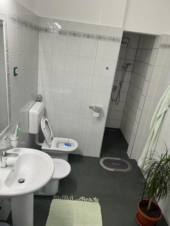 Koupelna v ubytování Rooms Aida