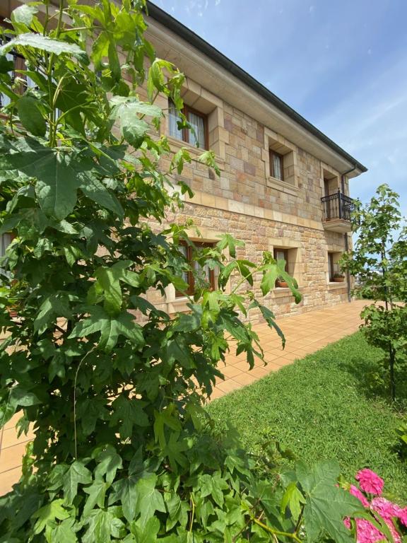 Zahrada ubytování Hotel Vijanera