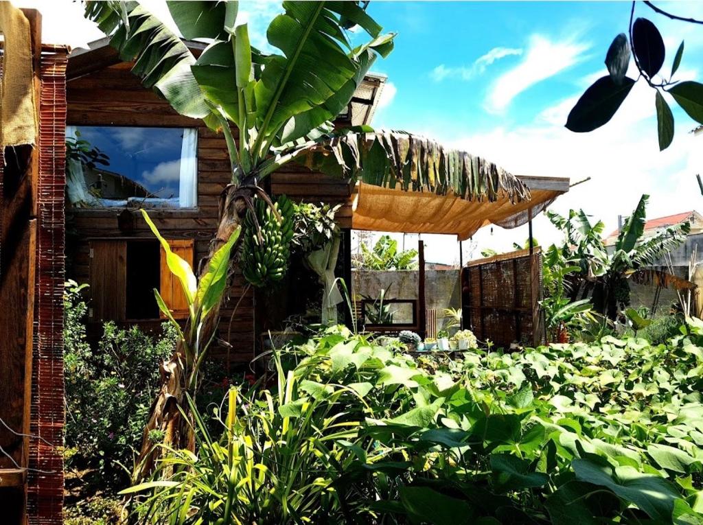 Happy house - Housity