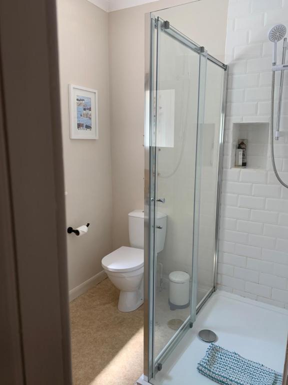 uma casa de banho com um WC e uma cabina de duche em vidro. em Harbour quay em Wick