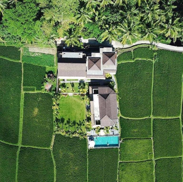 Zahrada ubytování Intan Villa & Suite Ubud