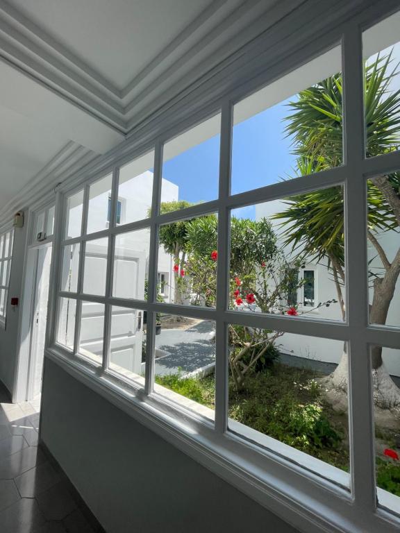 a room with a window looking out at a palm tree at Albatros Hotel in Karterados
