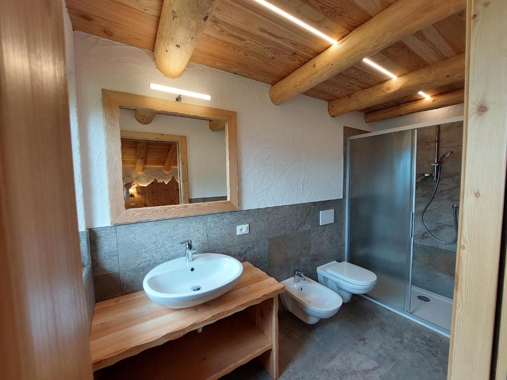 Koupelna v ubytování Agriturismo Malga Pontevecchio