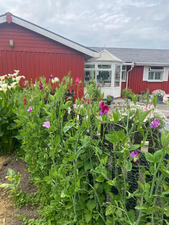 a garden with flowers in front of a red building at Barrow Harbour studio apartment in Tralee