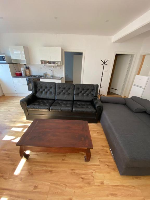 a living room with a black couch and a coffee table at Villa Acernis in Postojna