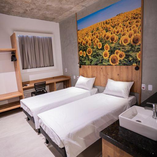 CAMPOS DE HOLAMBRA INN - 标准双人间