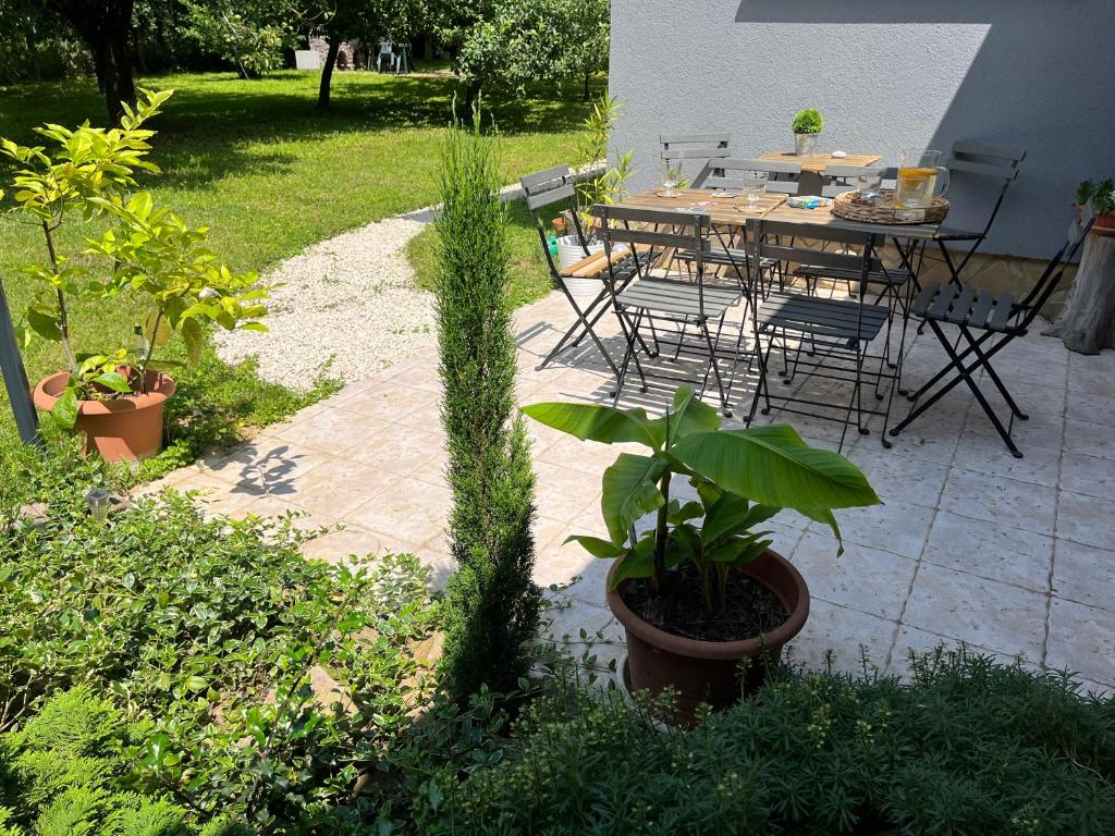 Zahrada ubytování Jázmin vendégház és 2 fős stúdió apartman