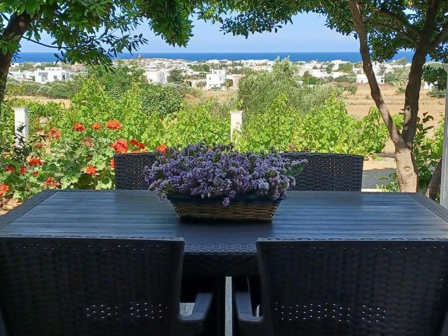 Skyros BnB, Calliope in Molos في سكيروس: طاولة مع إناء من الزهور الأرجوانية عليها