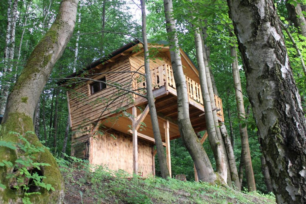 uma casa na árvore na floresta com um deque em Treehouse Velké Losiny em Velké Losiny