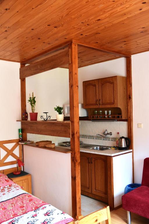Kuchyň nebo kuchyňský kout v ubytování Pension Hamry