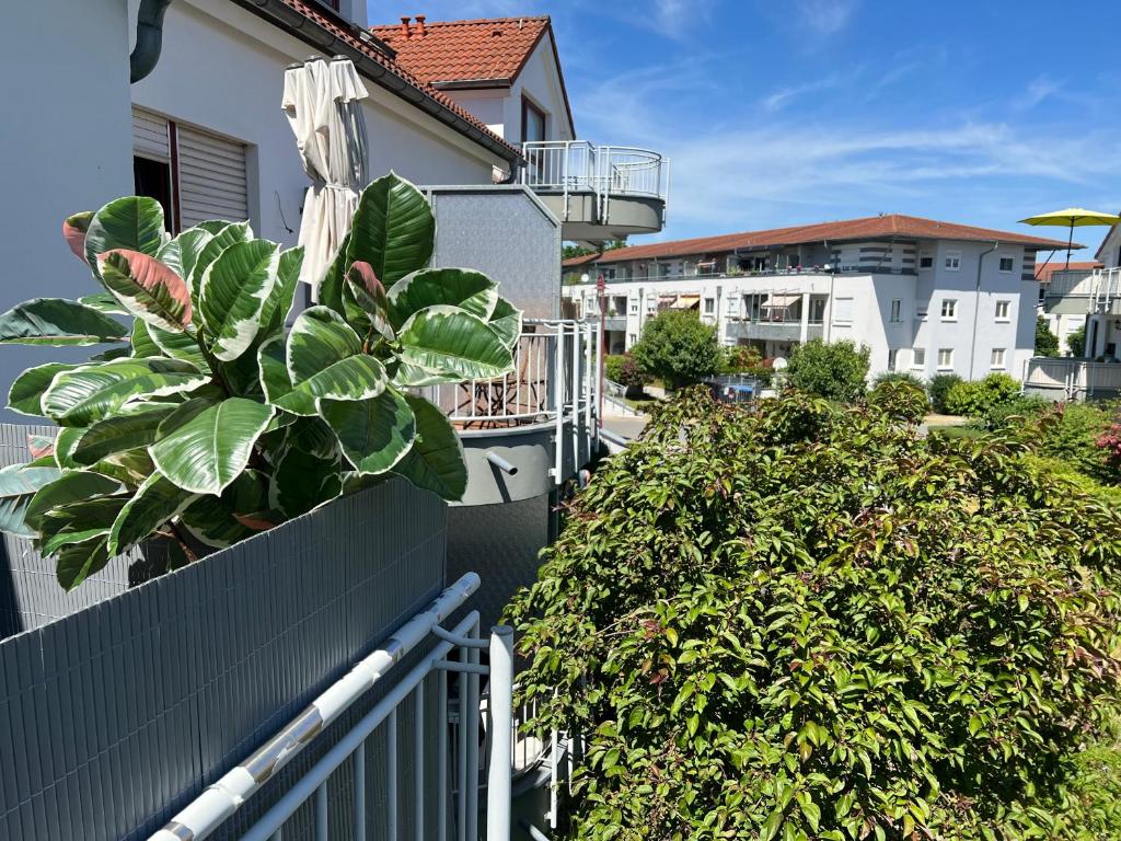 una planta en una valla al lado de un edificio en Apartment Studio Green line, en Bannewitz