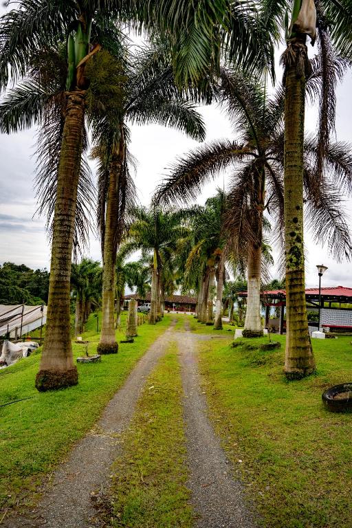 Zahrada ubytování Rancho Chihuahua