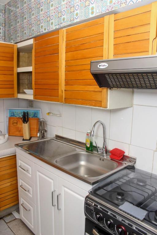 Kuchyň nebo kuchyňský kout v ubytování Departamentos Providencia J&M